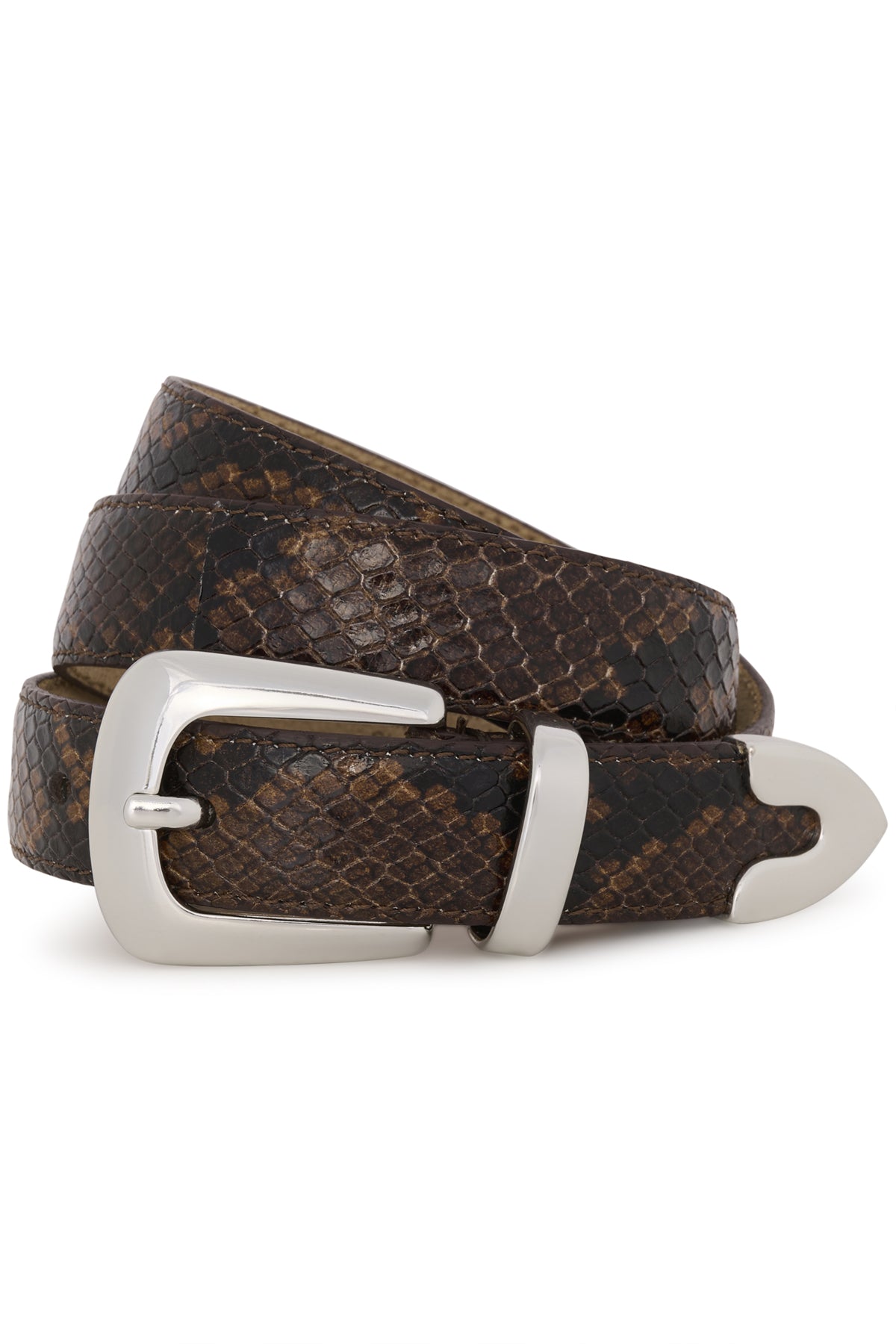 GZfilua belt Brown snake - 10910827