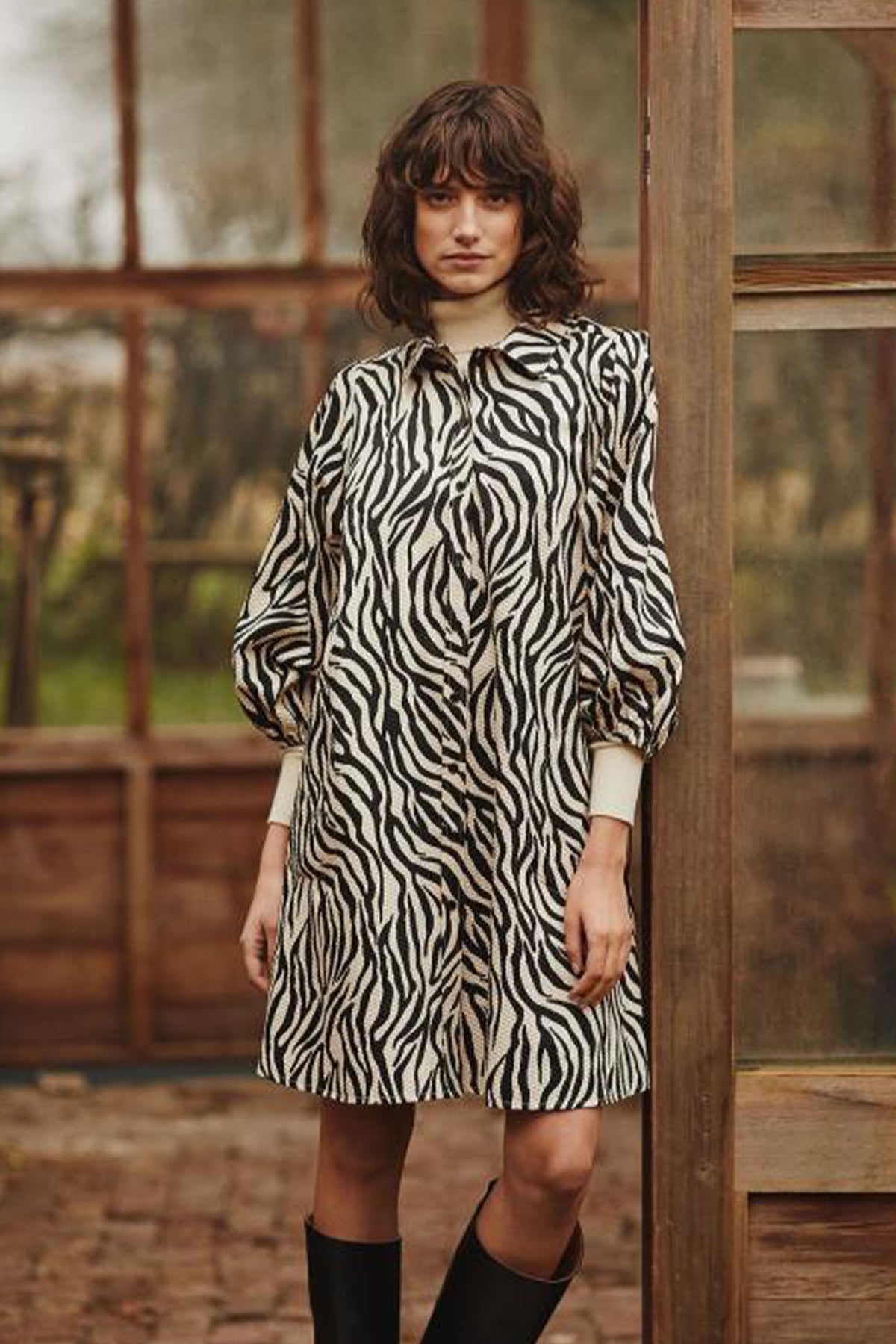 EleinaPW DR Cement Zebra Print - 30306279