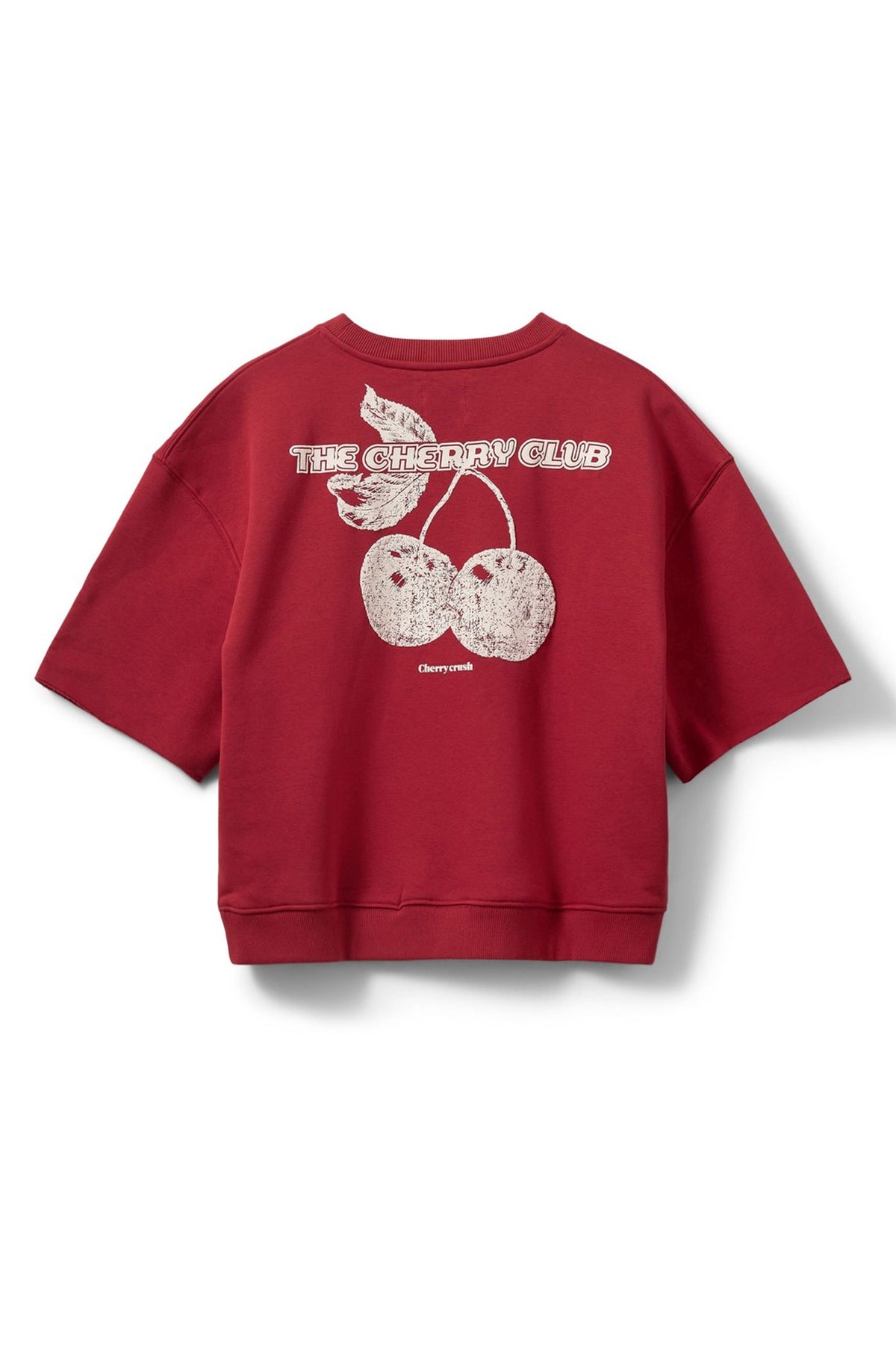 ELOISESW SWEARTSHIRT 4154 Red - S252465