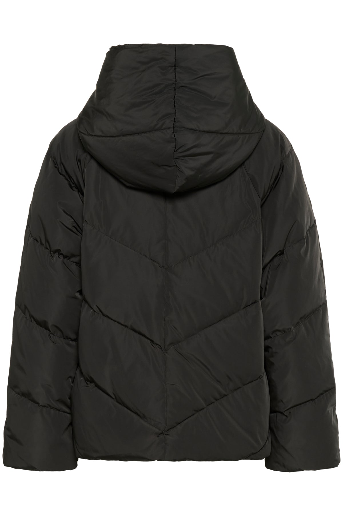 YazIW Short Coat Black - 30110619