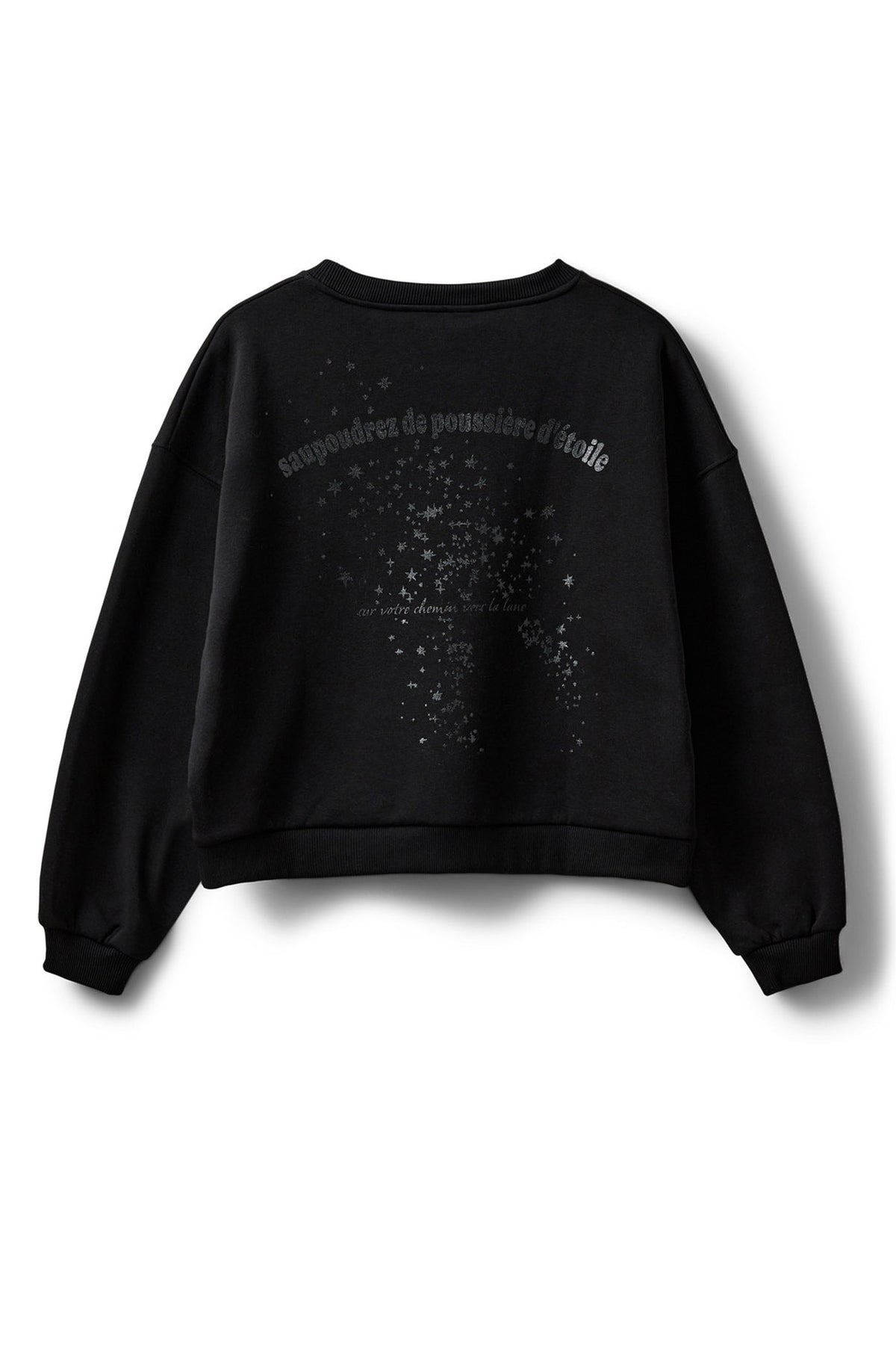 ELINSW SWEATSHIRT 1000 Black - S254435