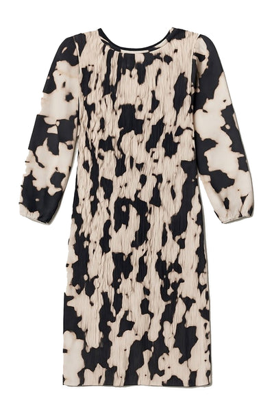 GRY BLACK SPOT - 1021425 Thumbnail