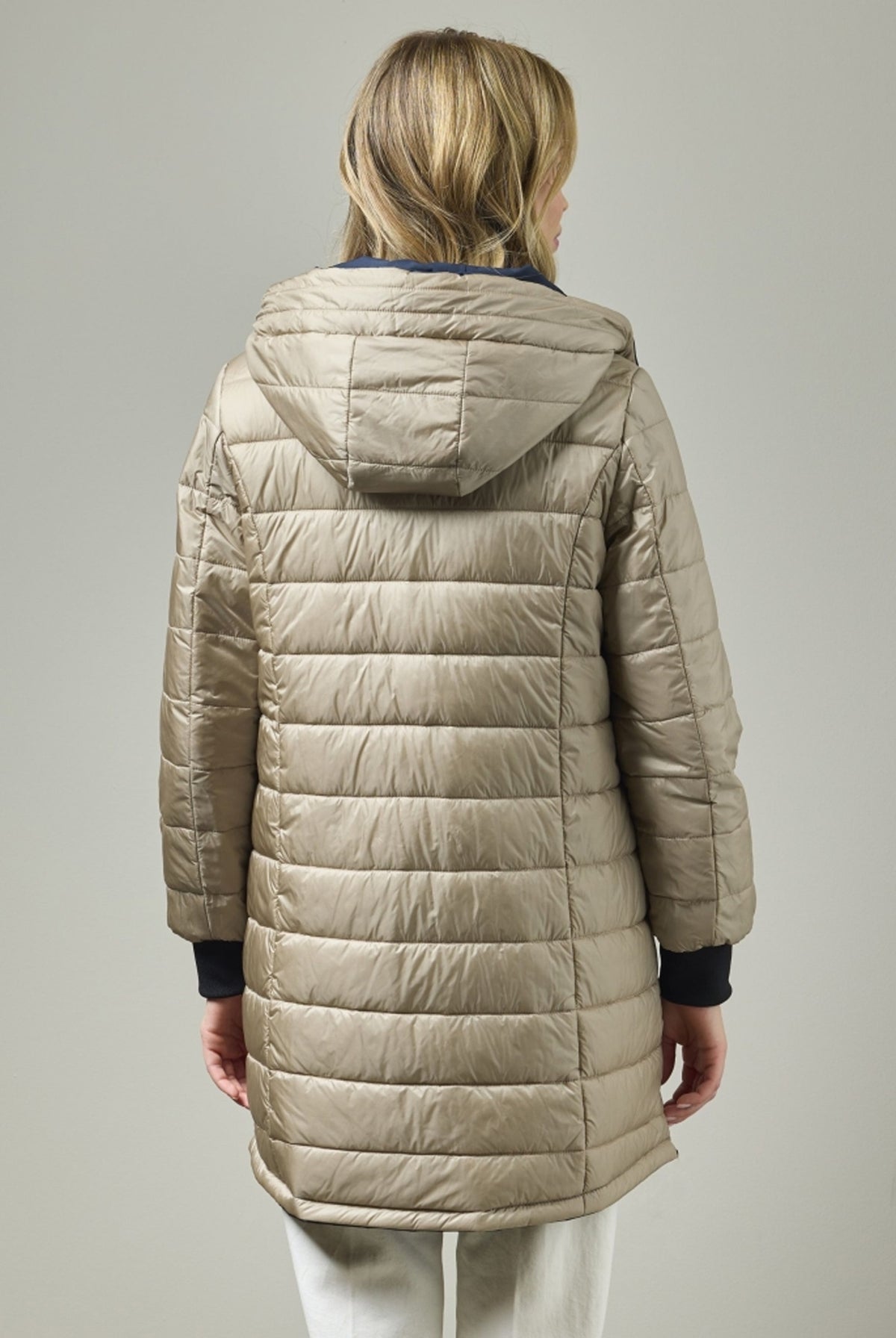 Patricia 50-Navy - 0226-2492-88